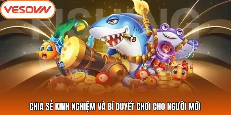 Chia sẻ kinh nghiệm và bí quyết chơi cho người mới