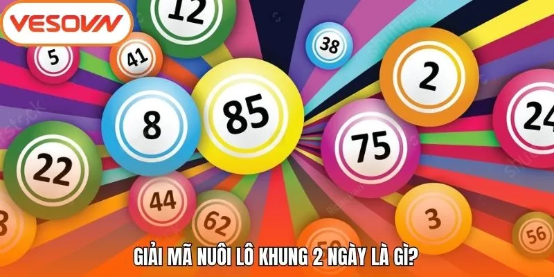 Giải mã nuôi lô khung 2 ngày là gì?