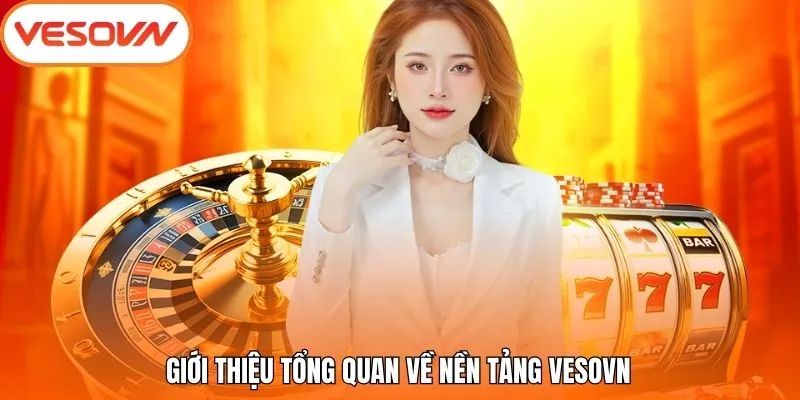 Giới thiệu tổng quan về nền tảng VesoVN