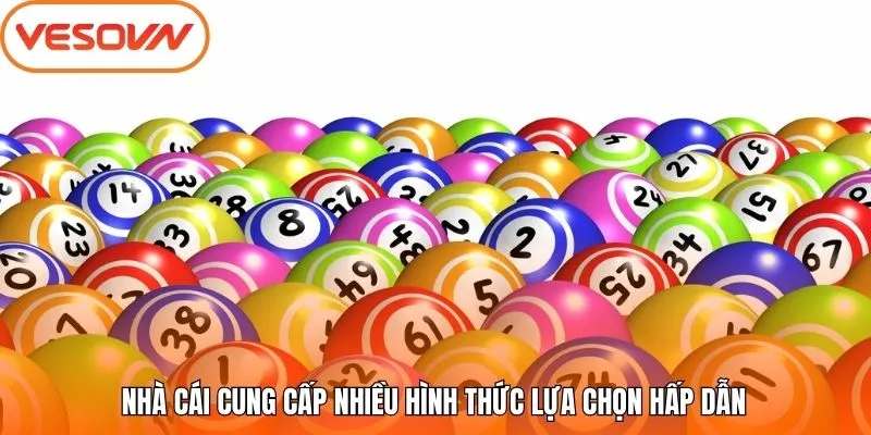 Nhà cái cung cấp nhiều hình thức lựa chọn hấp dẫn