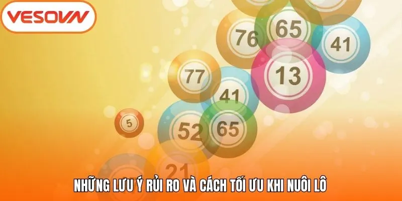 Những lưu ý rủi ro và cách tối ưu khi nuôi lô